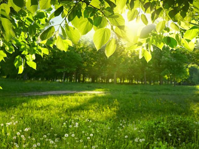 Terrain vente à France métropolitaine, Castelnau-de-médoc