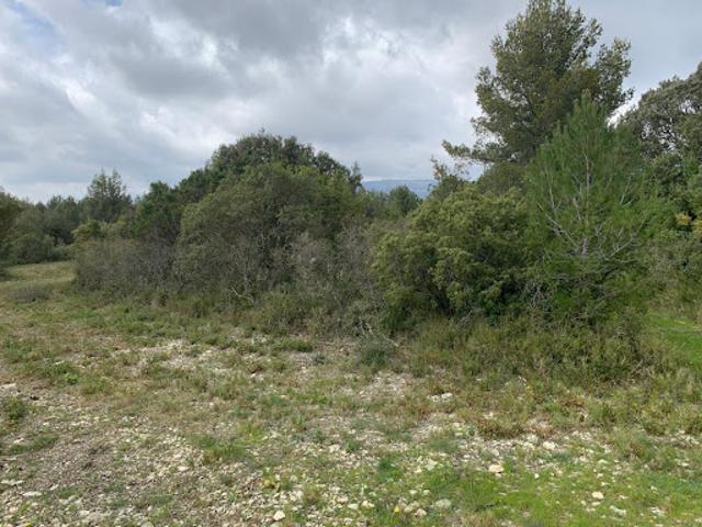 Terrain vente à Cuges-les-pins