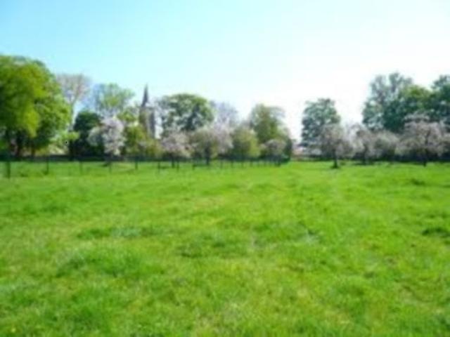 Terrain vente à Châtenay-sur-seine