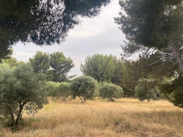 Terrain vente à Istres, Saint-chamas
