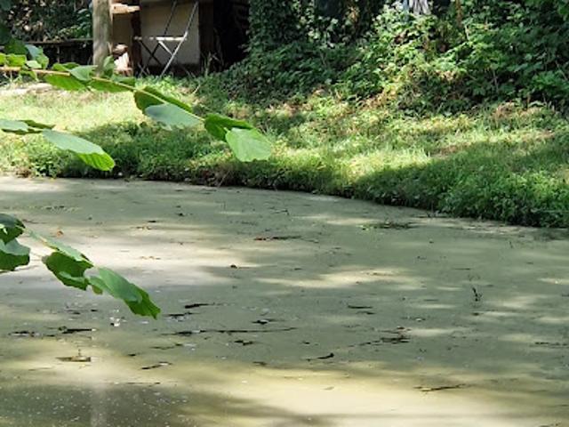 Terrain vente à Soissons, Pargny-filain