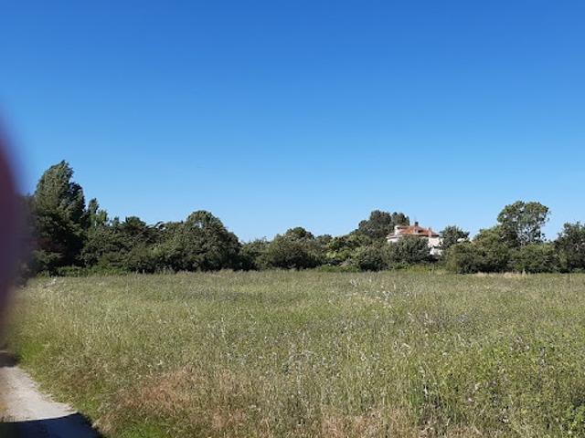 Terrain vente à France métropolitaine, Meursac