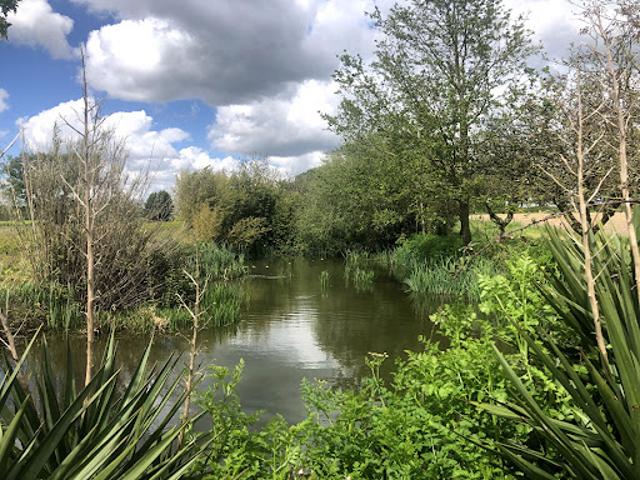 Terrain vente à France métropolitaine, Montaigu