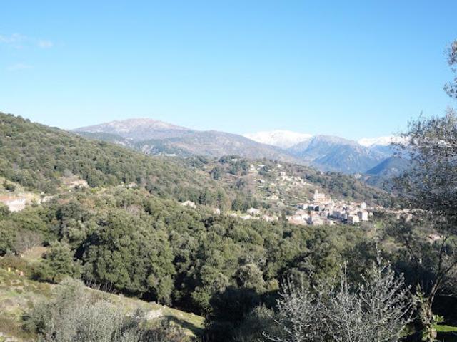 Terrain vente à Ajaccio, Vico