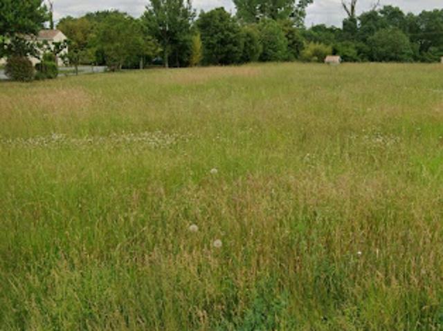 Terrain vente à France métropolitaine, Pisany