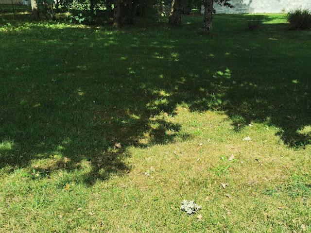 Terrain vente à France métropolitaine, Sanguinet