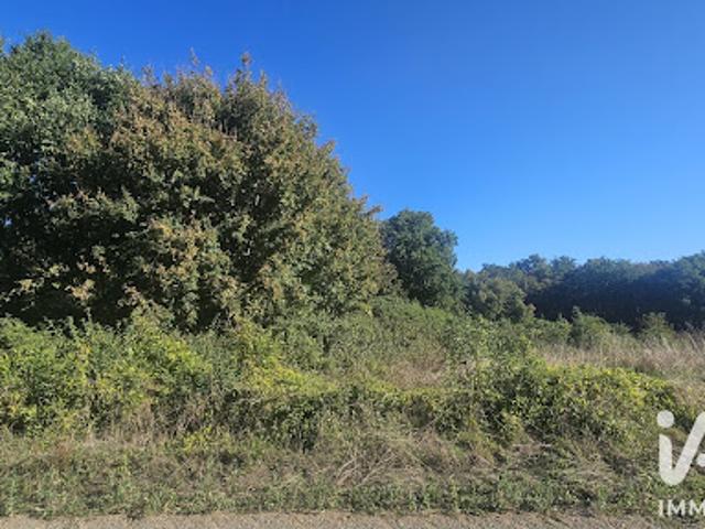 Terrain vente à Grosbout, La Forêt-de-Tessé