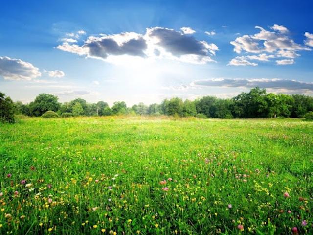 Terrain vente à Belleville-sur-vie, La Croisée des Barres