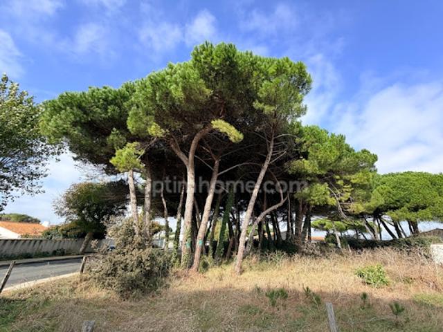 Terrain vente à La Rochelle, Le Bois-plage-en-ré