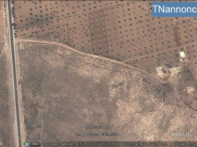 Terrain location