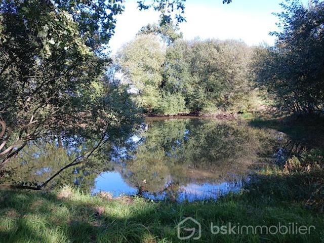 Terrain vente à Mayenne, Martigné-sur-mayenne