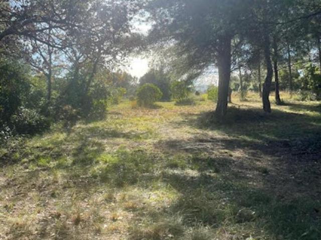 Terrain vente à France métropolitaine, Ollioules