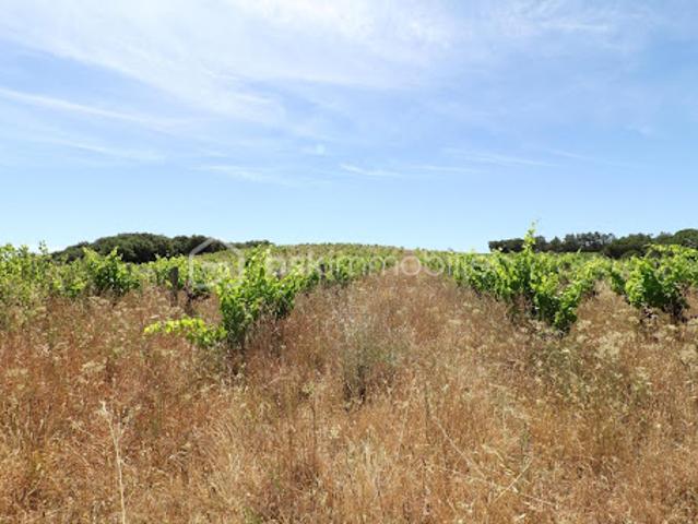 Terrain vente à Caussiniojouls, Hérault