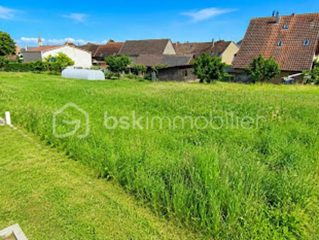 Terrain vente à Colmar-Ribeauvillé, Houssen