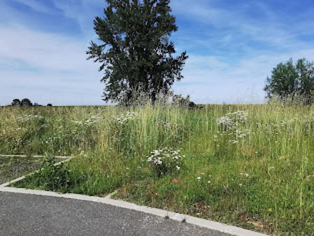 Terrain vente à Toulouse, Colomiers