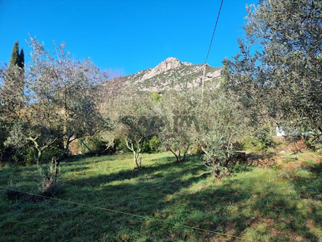 Terrain vente à Le Vigan, Saint-hippolyte-du-fort
