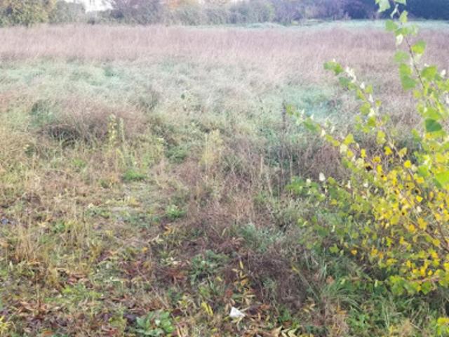 Terrain vente à Bordeaux, La Sauve