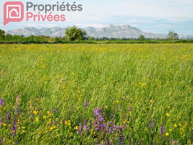 Terrain vente à Les Ferrades, Saint-Martin-de-Crau