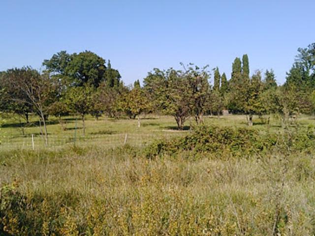 Terrain vente à France métropolitaine, Comps