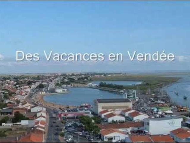 Terrain vente à Fontenay-le-Comte, Grues