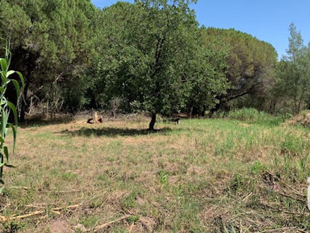 Terrain vente à Arrondissement de Draguignan, Fréjus