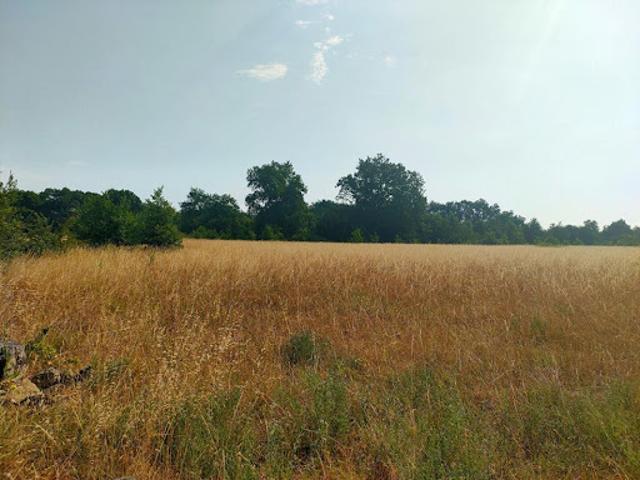 Terrain vente à Bordeaux, Ambarès-et-lagrave