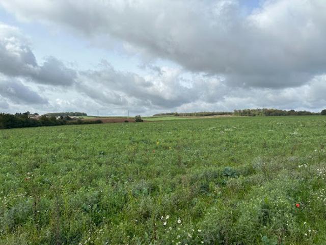 Terrain vente à Thionville, Rurange-lès-thionville
