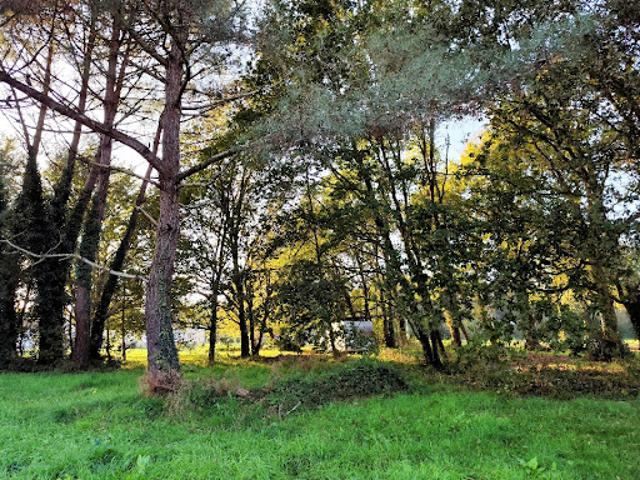 Terrain vente à Vendays-montalivet, Montalivet-les-Bains