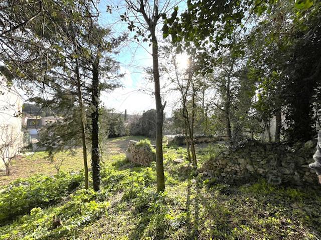 Terrain vente à Clapiers, Le Vert Pré