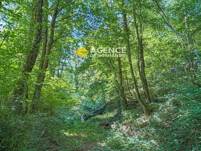 Terrain vente à Bernay, Montreuil-l'argillé