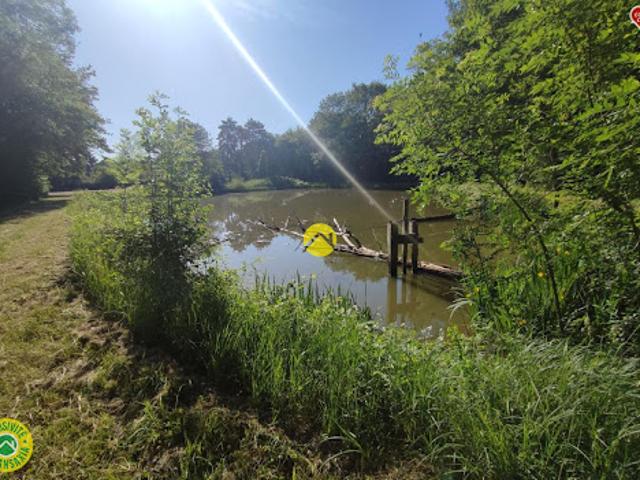 Terrain vente à Vierzon, Aubigny-sur-nère