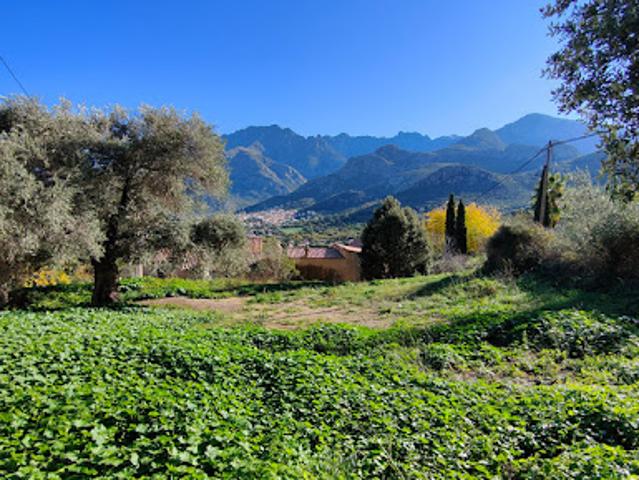 Terrain vente à Calvi, Moncale