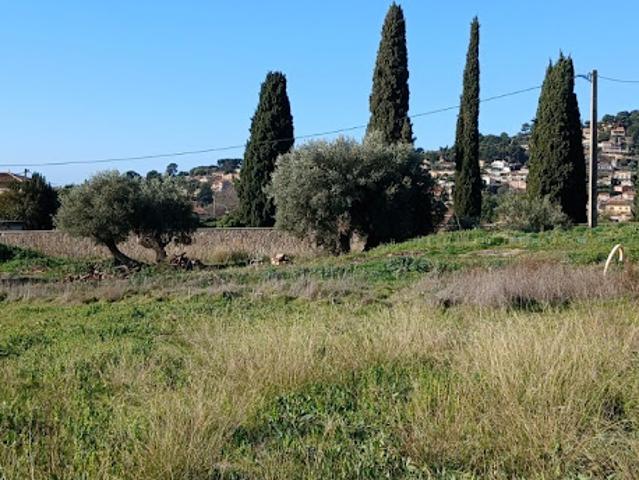 Terrain vente à Arrondissement de Toulon, Ollioules