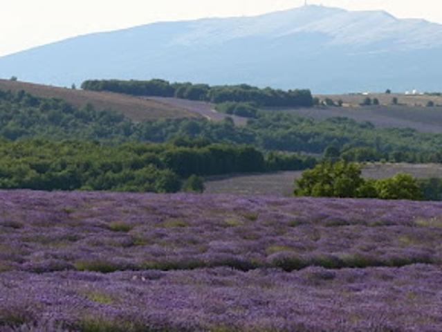 Terrain vente à Carpentras, Saint-christol