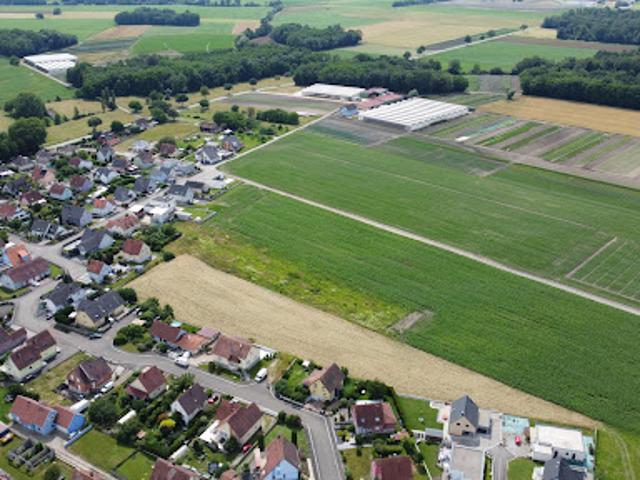 Terrain vente à Sélestat-Erstein, Bindernheim