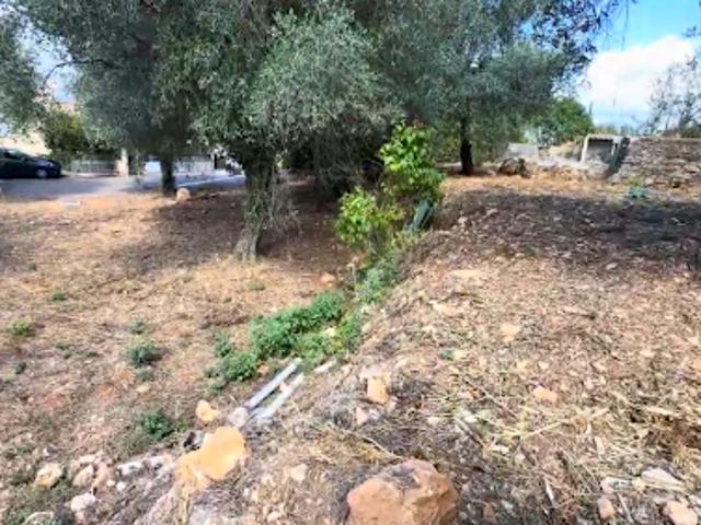 Terrain vente à France métropolitaine, Drap