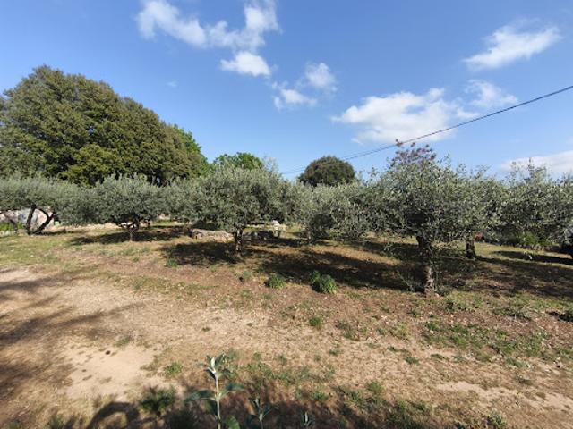 Terrain vente à Brignoles, Flassans-sur-issole