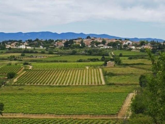 Terrain vente à Béziers, Pailhès