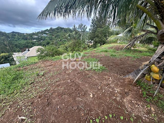Terrain vente à La Réunion