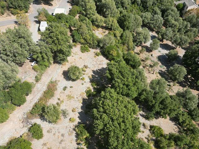 Terrain vente à Bastia, Olmeta-di-capocorso