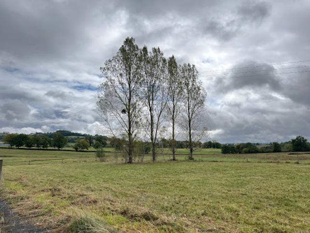 Terrain vente à Lavirade, Naucelles