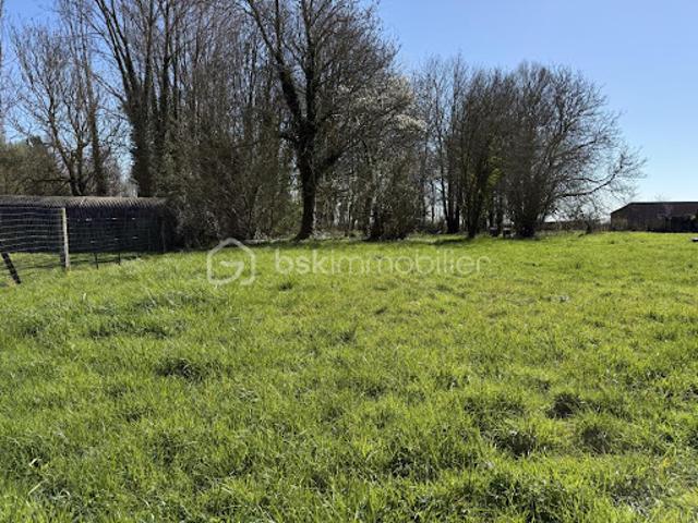 Terrain vente à Dunkerque, Oxelaëre