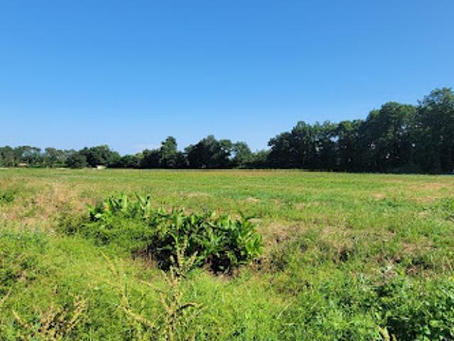Terrain vente à Dax, Tercis-les-bains
