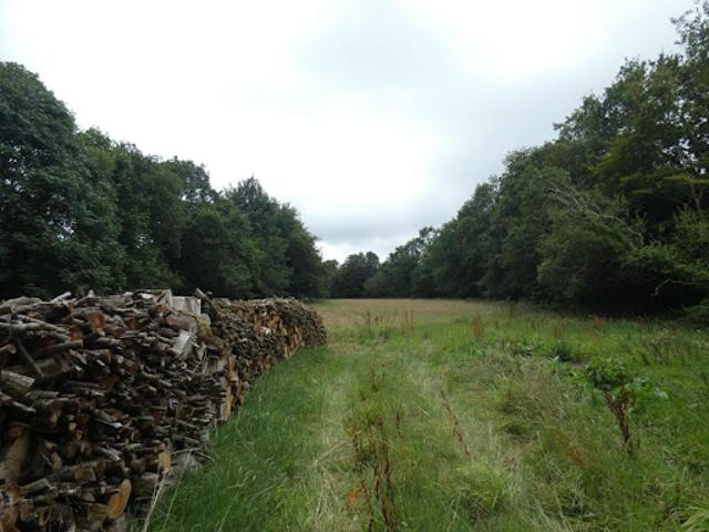 Terrain vente à Kerborgne, Loqueffret