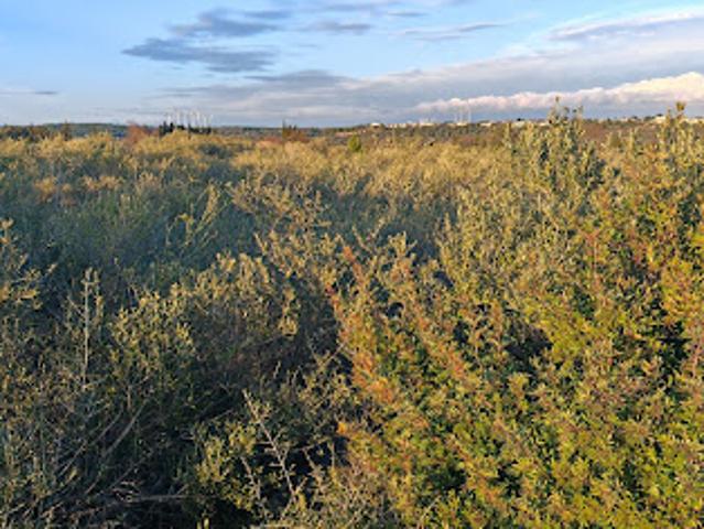 Terrain vente à Narbonne, La Palme