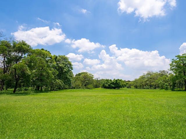 Terrain vente à France métropolitaine, Saint-andré-de-cubzac