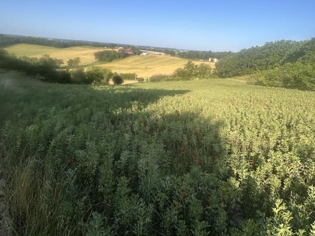 Terrain vente à Montauban, Montpezat-de-quercy