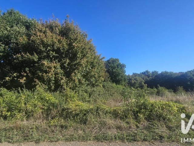 Terrain vente à Tessé, La Forêt-de-Tessé
