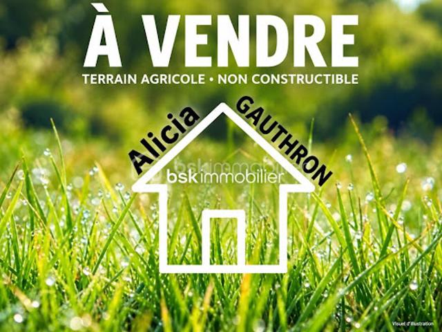 Terrain vente à Villy le Brûlé, Villy-le-Moutier