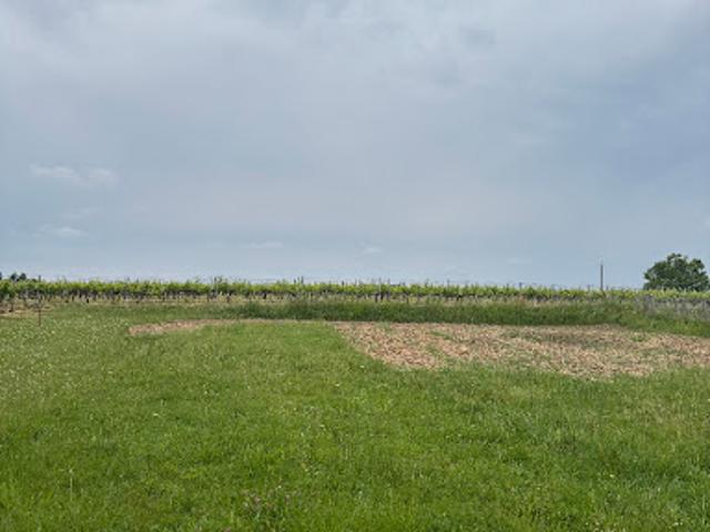 Terrain vente à ZA de l'Îllot, La Lande-de-Fronsac